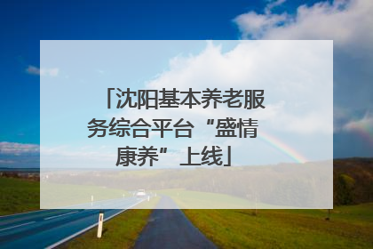 沈阳基本养老服务综合平台“盛情康养”上线