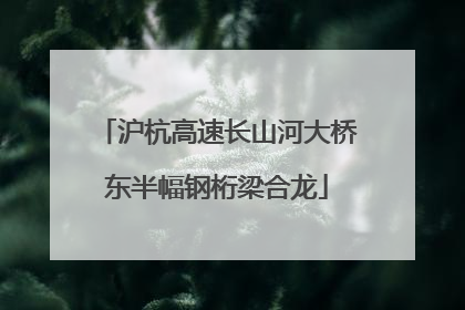 沪杭高速长山河大桥东半幅钢桁梁合龙