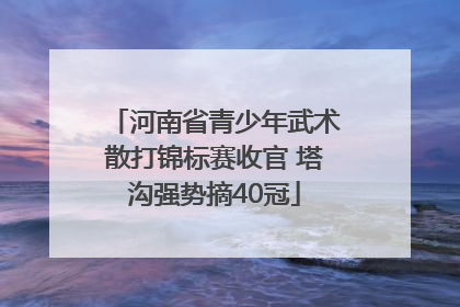 河南省青少年武术散打锦标赛收官 塔沟强势摘40冠