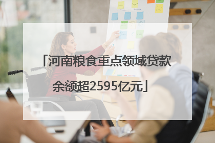河南粮食重点领域贷款余额超2595亿元