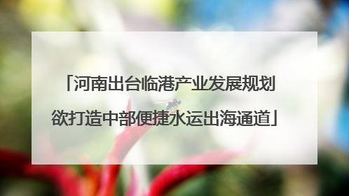 河南出台临港产业发展规划 欲打造中部便捷水运出海通道