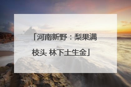 河南新野：梨果满枝头 林下土生金
