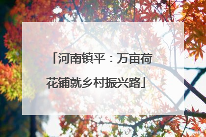 河南镇平：万亩荷花铺就乡村振兴路