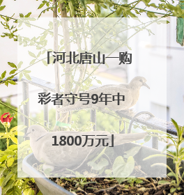 河北唐山一购彩者守号9年中1800万元