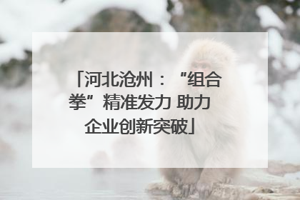 河北沧州：“组合拳”精准发力 助力企业创新突破