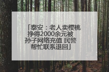 泰安：老人卖樱桃挣得2000余元被孙子网络充值 民警帮忙联系退回