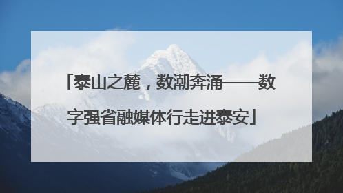 泰山之麓，数潮奔涌——数字强省融媒体行走进泰安