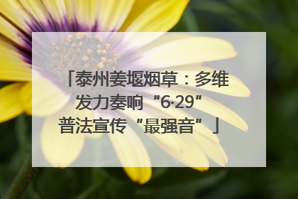 泰州姜堰烟草：多维发力奏响“6·29”普法宣传“最强音”