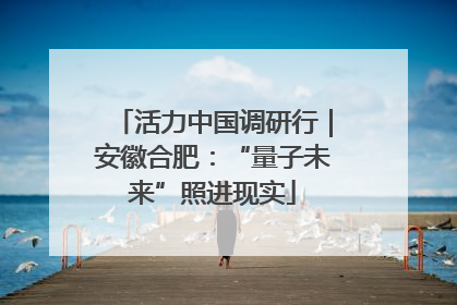 活力中国调研行｜安徽合肥：“量子未来”照进现实