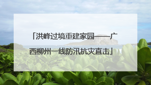 洪峰过境重建家园——广西柳州一线防汛抗灾直击