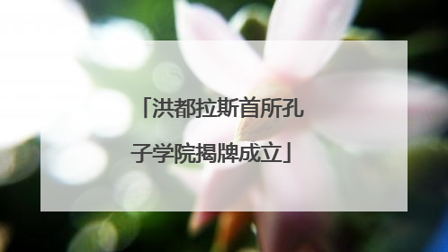 洪都拉斯首所孔子学院揭牌成立
