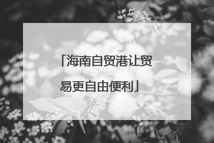 海南自贸港让贸易更自由便利