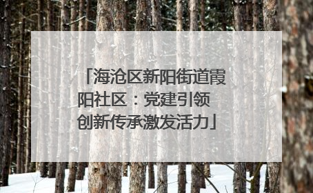 海沧区新阳街道霞阳社区：党建引领 创新传承激发活力