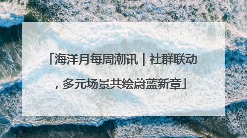 海洋月每周潮讯｜社群联动，多元场景共绘蔚蓝新章