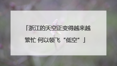浙江的天空正变得越来越繁忙 何以领飞“低空”