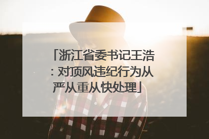 浙江省委书记王浩：对顶风违纪行为从严从重从快处理