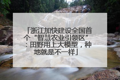浙江加快建设全国首个“智慧农业引领区”：田野用上大模型，种地就是不一样