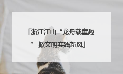 浙江江山“龙舟载童趣” 掀文明实践新风