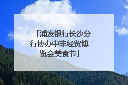 浦发银行长沙分行协办中非经贸博览会美食节