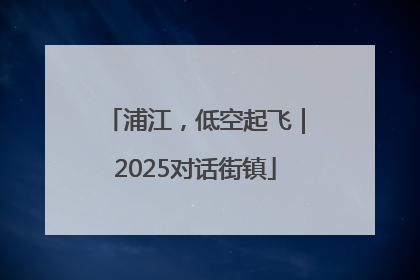 浦江，低空起飞｜2025对话街镇