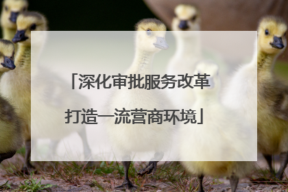 深化审批服务改革 打造一流营商环境