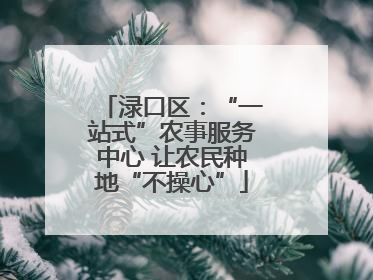 渌口区：“一站式”农事服务中心 让农民种地“不操心”
