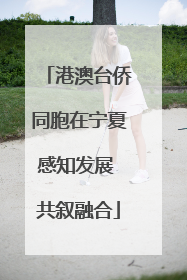 港澳台侨同胞在宁夏感知发展 共叙融合