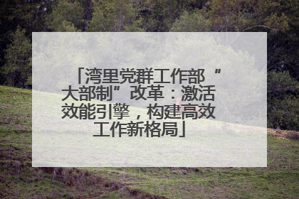 湾里党群工作部“大部制”改革：激活效能引擎，构建高效工作新格局