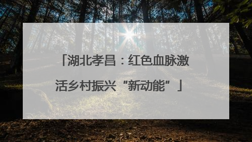 湖北孝昌：红色血脉激活乡村振兴“新动能”