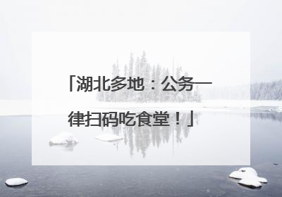 湖北多地：公务一律扫码吃食堂！