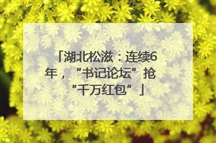 湖北松滋：连续6年，“书记论坛”抢“千万红包”