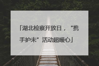 湖北检察开放日，“携手护未”活动超暖心