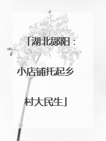 湖北郧阳：小店铺托起乡村大民生