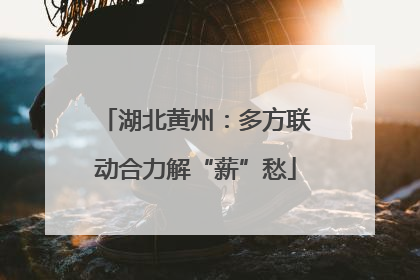 湖北黄州：多方联动合力解“薪”愁