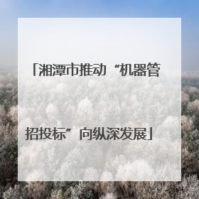 湘潭市推动“机器管招投标”向纵深发展