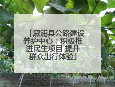 溆浦县公路建设养护中心：积极推进民生项目 提升群众出行体验