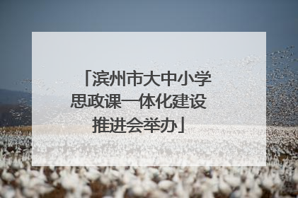 滨州市大中小学思政课一体化建设推进会举办