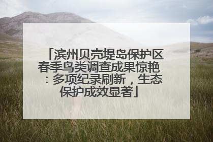 滨州贝壳堤岛保护区春季鸟类调查成果惊艳：多项纪录刷新，生态保护成效显著
