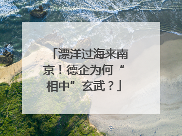 漂洋过海来南京！德企为何“相中”玄武？