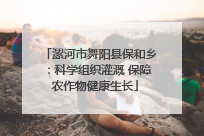 漯河市舞阳县保和乡：科学组织灌溉 保障农作物健康生长