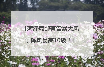 菏泽局部有雷暴大风，阵风最高10级！