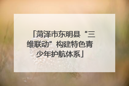 菏泽市东明县“三维联动”构建特色青少年护航体系