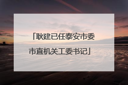 耿建已任泰安市委市直机关工委书记