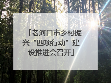 老河口市乡村振兴“四项行动”建设推进会召开