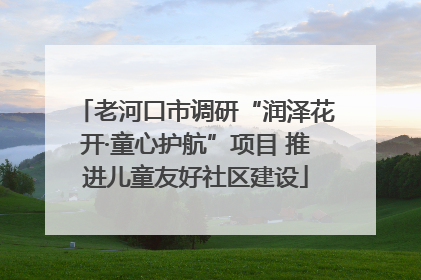老河口市调研“润泽花开·童心护航”项目 推进儿童友好社区建设