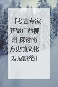 考古专家齐聚广西柳州 探讨南方史前文化发展脉络