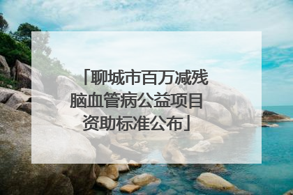 聊城市百万减残脑血管病公益项目资助标准公布