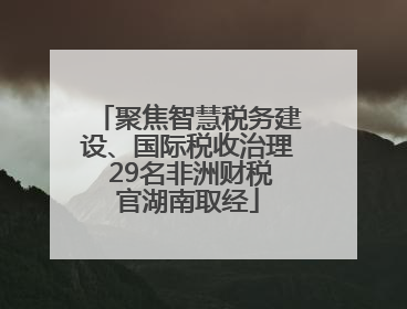 聚焦智慧税务建设、国际税收治理 29名非洲财税官湖南取经