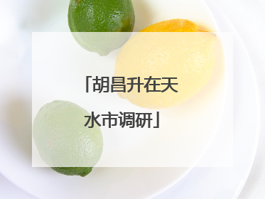 胡昌升在天水市调研