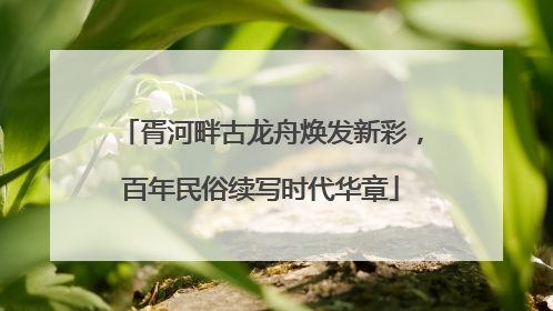 胥河畔古龙舟焕发新彩，百年民俗续写时代华章